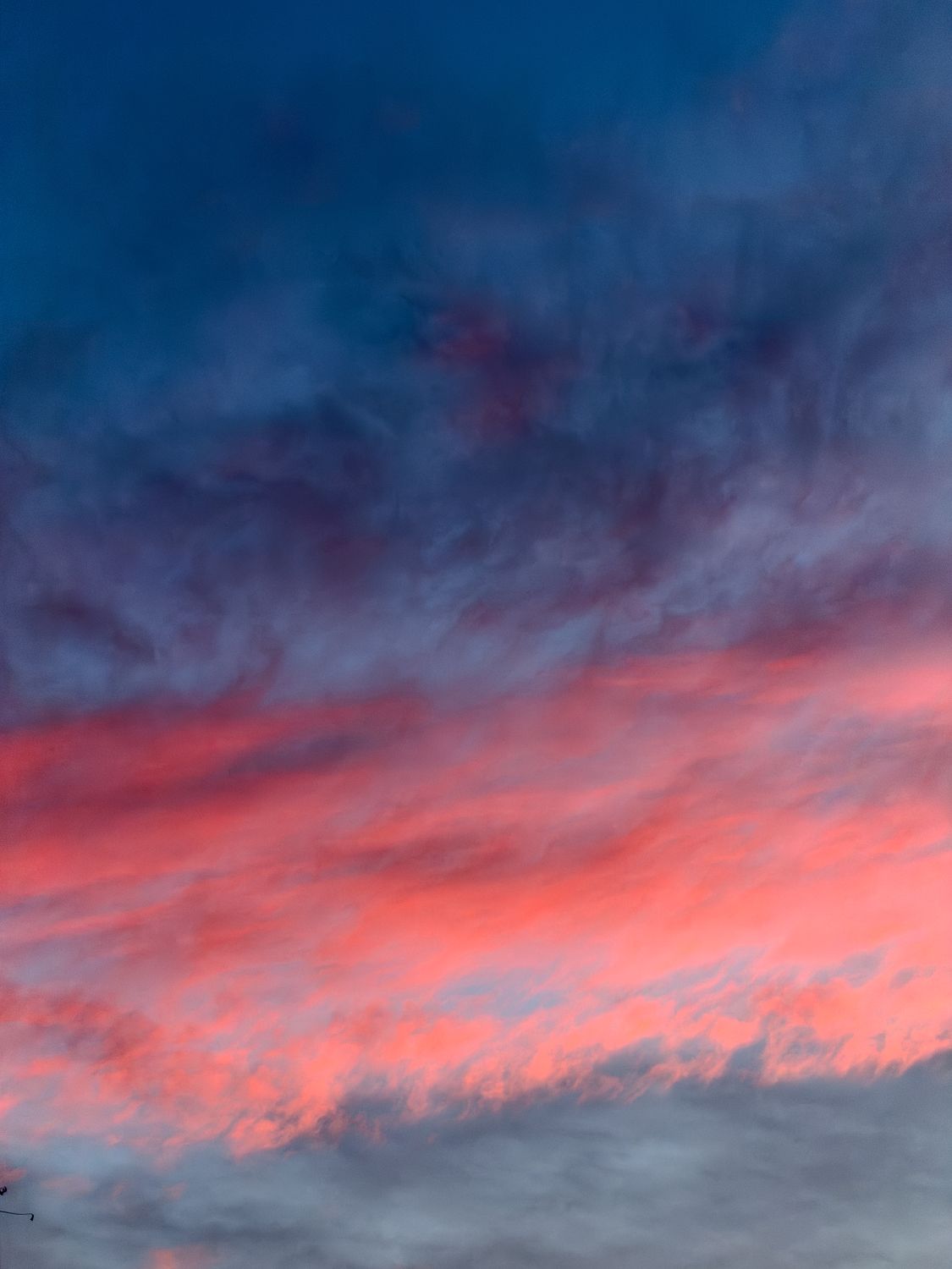 Cielos